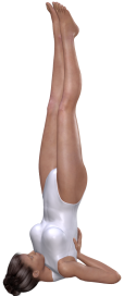 Sarvangasana Sarvangasana