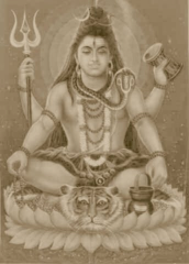 Pashupati Pashupati